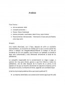 Reconocimientos internacionales: Nominación al Oscar para julia Roberts, como mejor actriz