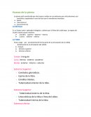 Huesos de la pierna.