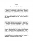 Mi experiencia en el Curso Introductorio