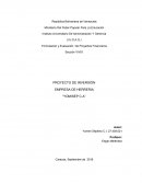 Proyecto de invbersion.