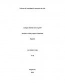 Informe de investigación proyecto de vida