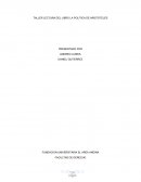 Principios generales del derecho.