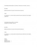 UNA MIRADA A LA APLICACIÓN DE ESTRATEGIA DEL PROYECTO DE TIEMPO COMPLETO