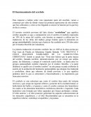 Funcionamiento del cerebelo Para empezar a hablar sobre esta importante parte del encéfalo, vamos a comenzar por saber de dónde vienen las primeras apariciones de este término que hoy utilizamos y como se fue llegando a conocer la función por la que h