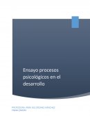 Ensayo procesos psicológicos del desarrollo.