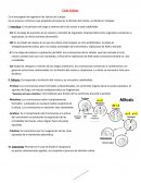 Es el encargado de regenerar las células del cuerpo Es un proceso continuo cuyo propósito principal es la división del núcleo, se divide en 3 etapas