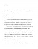 Principales fortalezas de la Comunitat: Rejuvenecimiento estructura demográfica y propiciado una sociedad diversa o plural.