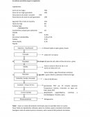 Producto cárnico, embutido escaldado, obtenido del proceso de la carne de bovino y con la adición de aditivos permitidos según la legislación.