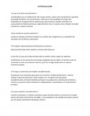 Consideraban que un Estado entre más riqueza tuviera, mayor sería la protección y garantía que podía brindarle a sus comerciantes, razón por la cual los gobiernos tenían que propender por la generación de riquezas que