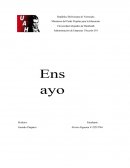 Ensayo Ministerio del Poder Popular para la Educación