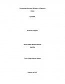 Mapa conceptual de Nutrición Vegetal.