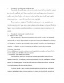 IDENTIFICACION DE LA CALIDAD DEL MAIZ.