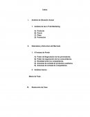 Analisis Caso COTT Corporation Naturaleza y Estructura del Mercado