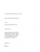 Los sistemas de producción lo podemos catalogar como un conjunto de actividades dentro del cual se crea valor