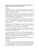 BIOSÍNTESIS DE LA PARED CELULAR MICOBACTERIANA: UN OBJETIVO ANTIBIÓTICO MULTIFACÉTICO