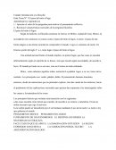Guía Tema Nº 1 El paso del mito al logo
