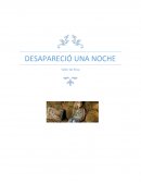 Ensayo DESAPARECIO UNA NOCHE.