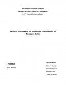 Bacterias presentes en los puestos de comida rápida (cap I).