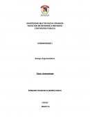 Ensayo antropologia FACULTAD DE ESTUDIOS A DISTANCIA