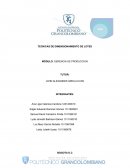 TECNICAS DE DIMENSIONAMIENTO DE LOTES MÓDULO: GERENCIA DE PRODUCCION
