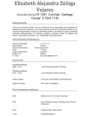 Otros Antecedentes Académicos: Currículum vitae