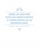 Cómo un lider debe efectuar correctamente el poder dentro de las organizaciones