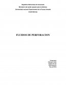 Fluidos de perforacion. HIDRATACIÓN DE ARCILLAS