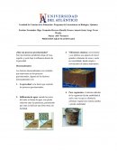 ¿Qué son procesos gravitacionales?