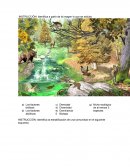 Identifica a partir de la imagen lo que se solicita