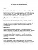 Acidificacion de los oceanos