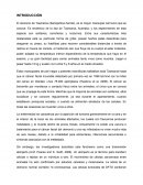 Demonia de Tasmanoia.