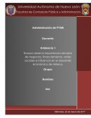 Ensayo sobre la importancia del plan de negocios, financiamiento, redes sociales e influencia en el desarrollo económico de México..