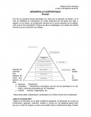 Desarrollo sustentable. ¿Qué es el desarrollo Sustentable?