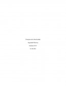 Principios de la Electricidad Seguridad Eléctrica