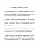Productividad como herramienta competitiva