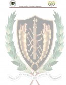 CARACTERISTICAS MORFOLOGICAS Y FISICAS DE LOS GRANOS.