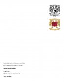 Actividad 1 Fenómeno con características sociales