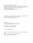 Alternativas en el Manejo Eficiente de los Recursos Naturales y Materiales Reusables al Cuidado del Ambiente.