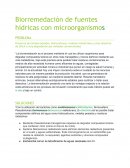 Biorremedación de fuentes hídricas con microorganismo