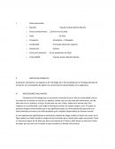 Ejemplo de informe psicológico de pregrado.