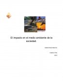 Impacto en el Medio Ambiente provocado por la Sociedad.