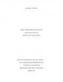 PROGRAMA DE MERCADEO Y PUBLICIDAD