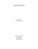 Los Derechos Sociales.