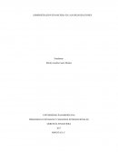 Administracion financiera en las organizaciones