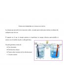 Acetatos de Celdas galvánicas