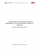INFORME DE AVANCE DE LAS ACTIVIDADES MÁS RELEVANTES DE ACOMPAÑAMIENTO DEL “PLAN DE SIEMBRA DE MORERA Y MORINGA” DEL ESTADO APURE.