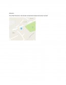 Trabajo de alimentos