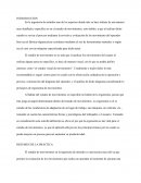 Estudio visual de movimientos y Ergonomía.