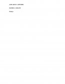 Ensayo sobre Afilar el lapicero de Daniel Cassany.