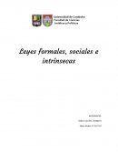 Leyes: formales, sociales e intrinsecas